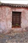 22 Colonia